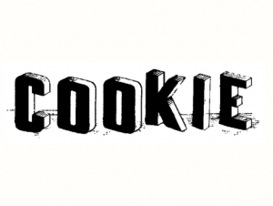 Cookie Thai & Australian Fusion Restaurant Melbourne, Commercial Renovation Work by Patina Construction